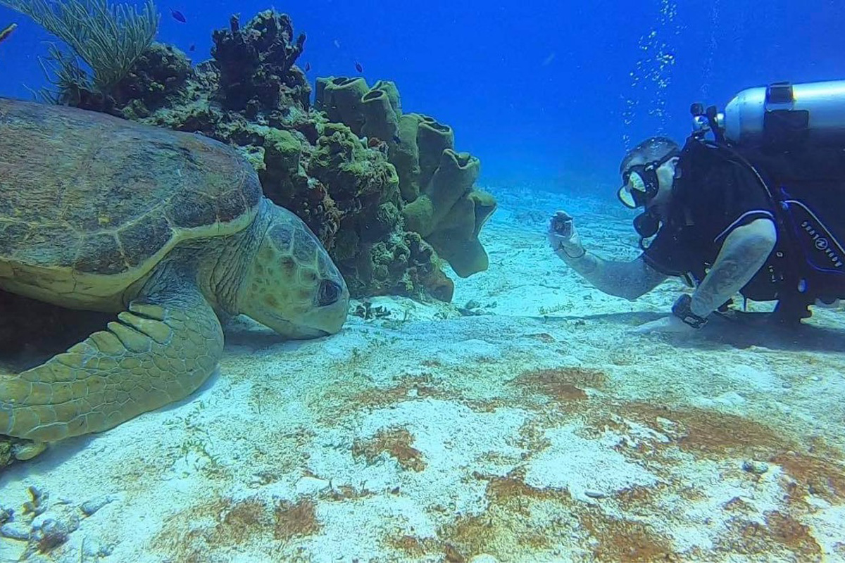 A guest scuba diving with a sea turtle during an off-site excursion.